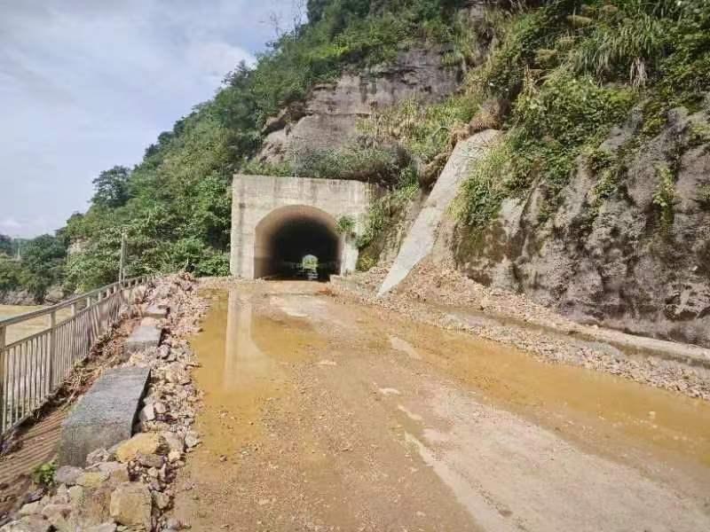 db26886346025316
